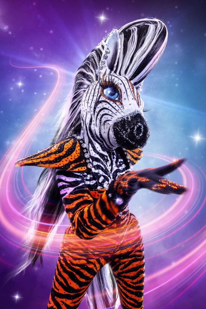 Zebra Masked Singer