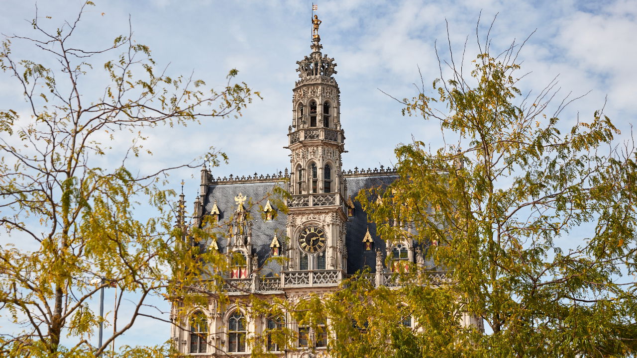 Mathieu Mas trekt zich terug als kandidaat-burgemeester van Oudenaarde ...