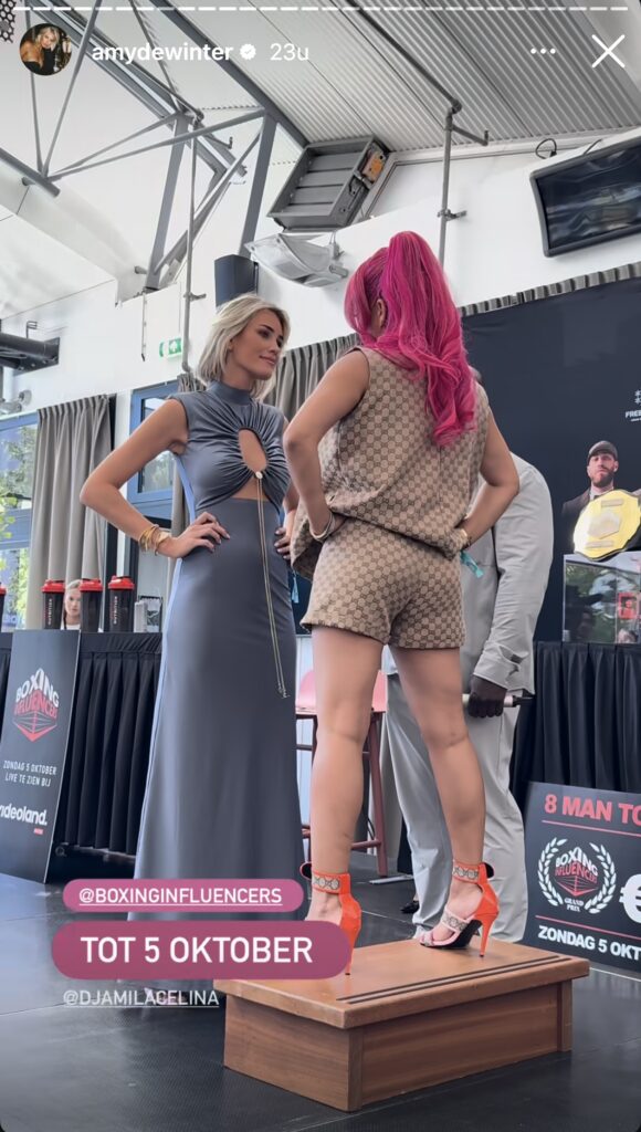 Amy Real Housewives boksen