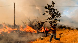 Tiener geeft toe bosbrand te hebben gesticht in Portugal vanwege emotioneel leed