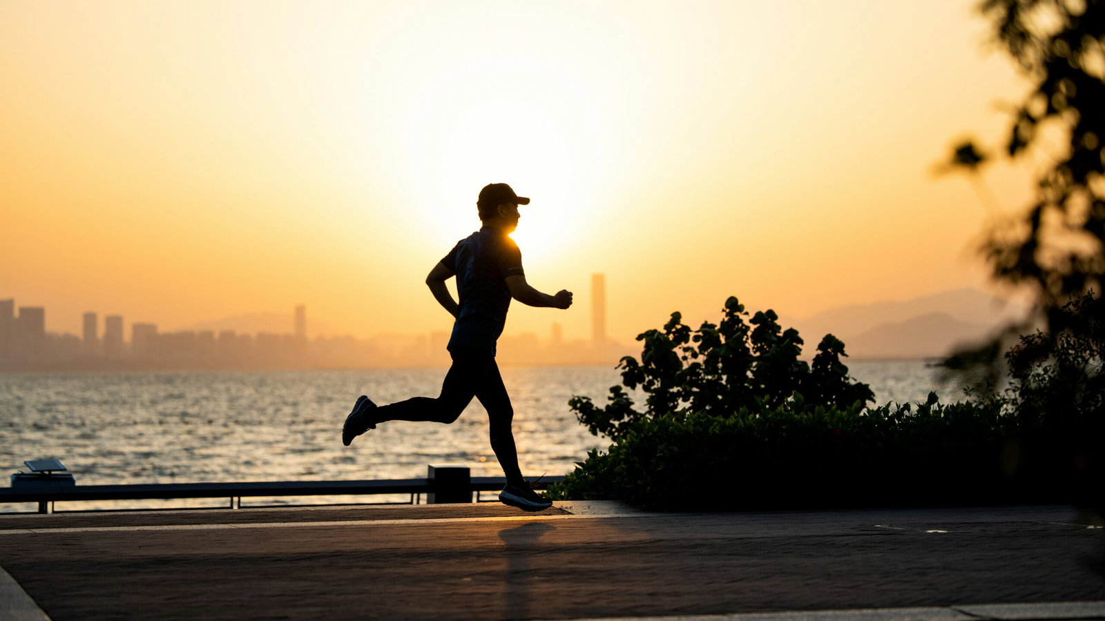 University of Adelaide researchers link exercise to pain relief